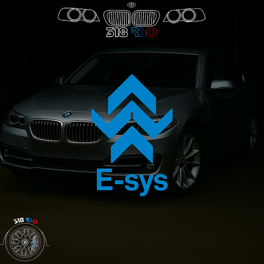 E-sys & Launcher pro